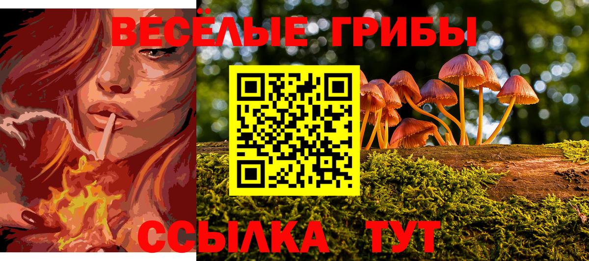 Псилоцибиновые грибы прущие грибы Барабинск